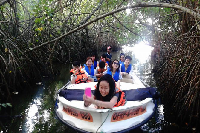 Madu River Boat Safari